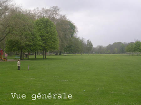 site13